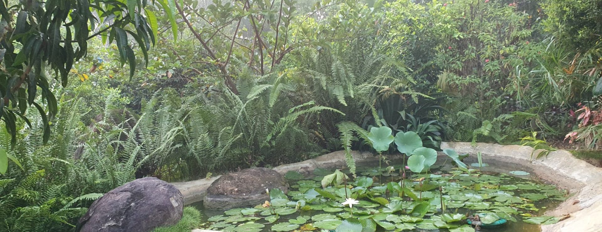 PHOTO-2022-05-16-11-09-23